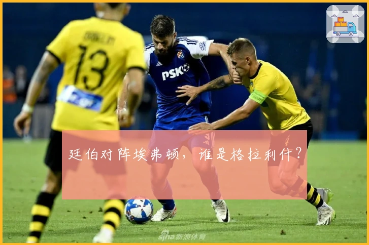 廷伯对阵埃弗顿，谁是格拉利什？