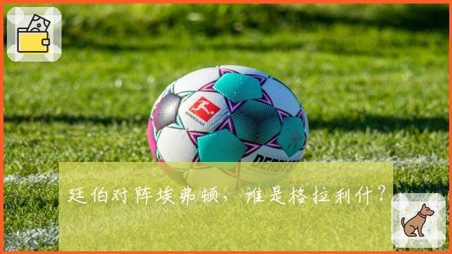 廷伯对阵埃弗顿，谁是格拉利什？